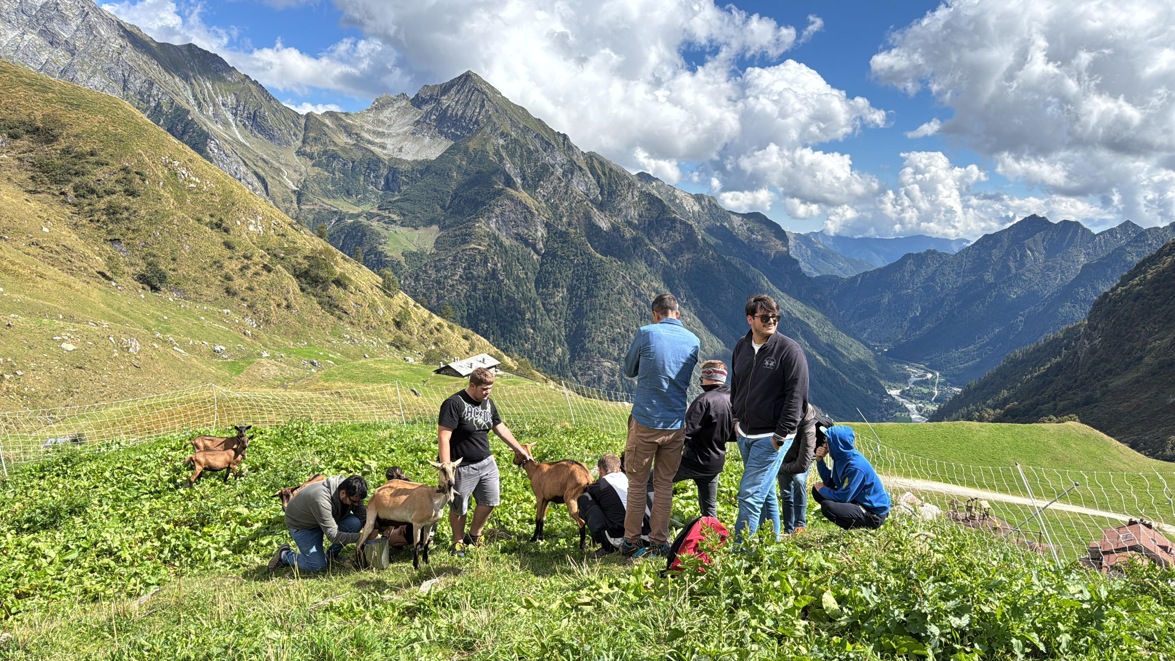 Gruppo durante un’esperienza in alpeggio